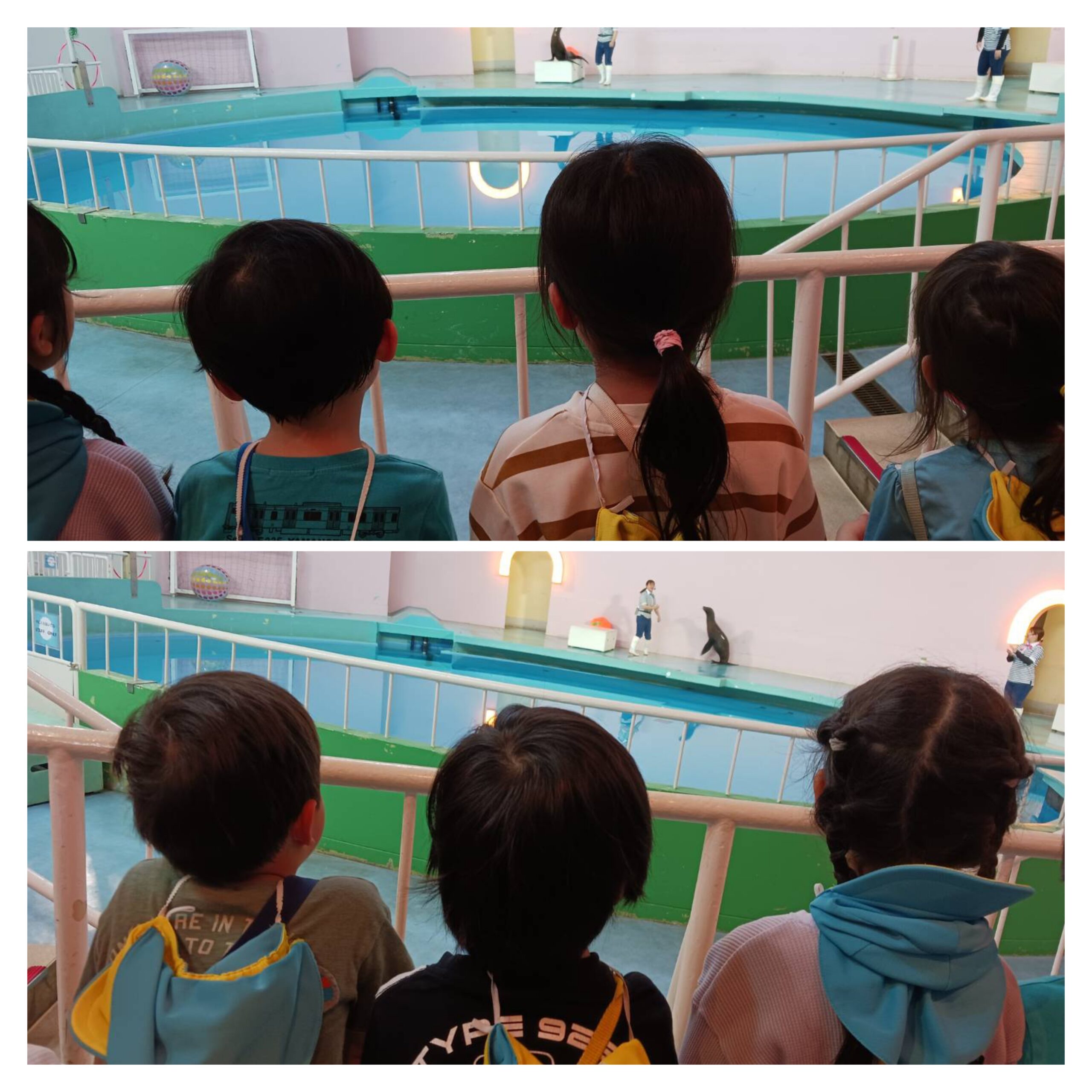 5歳児クラス 遠足に行ってきました!