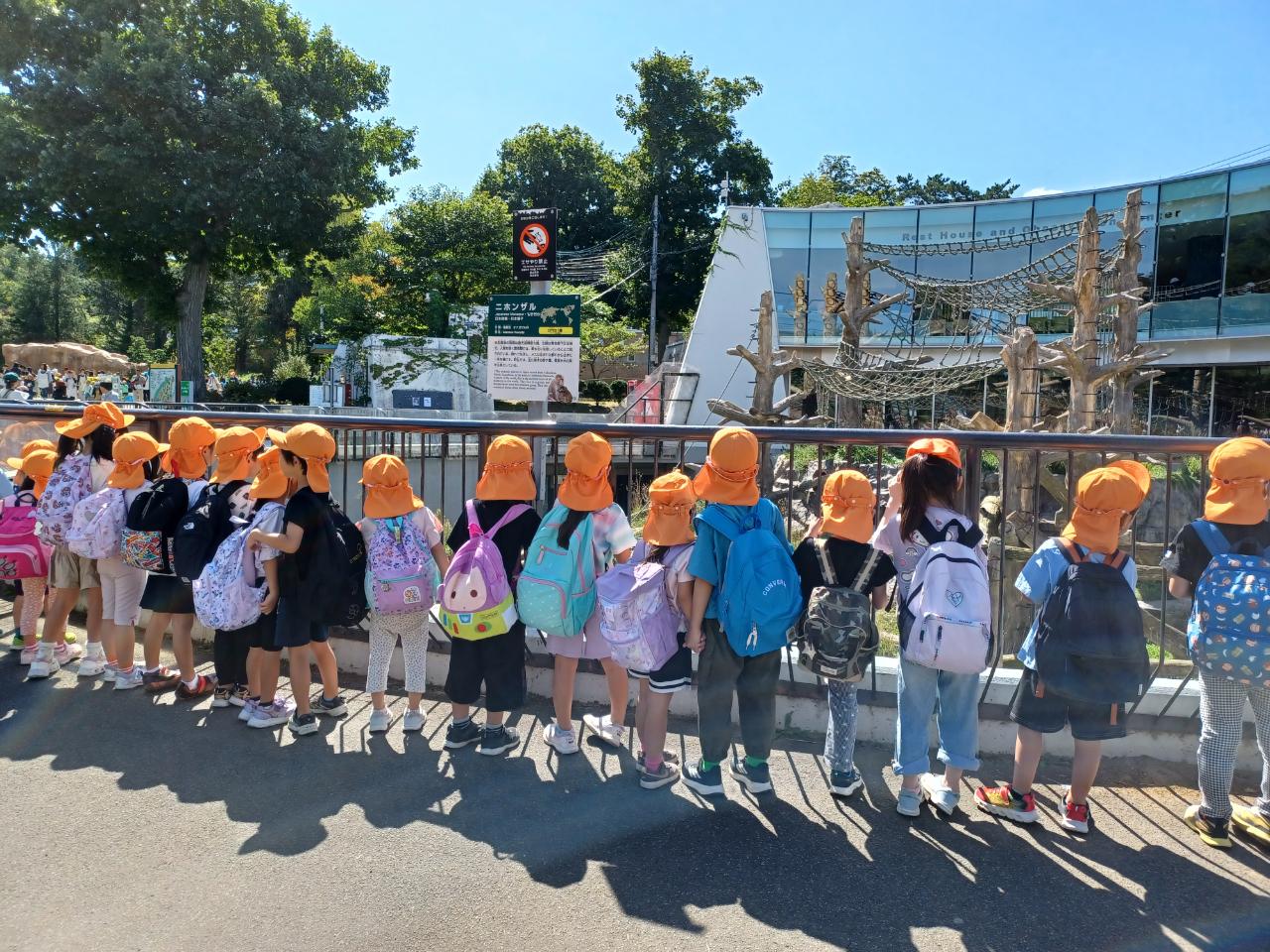 遠足　〜ぱんだ組・らいおん組〜