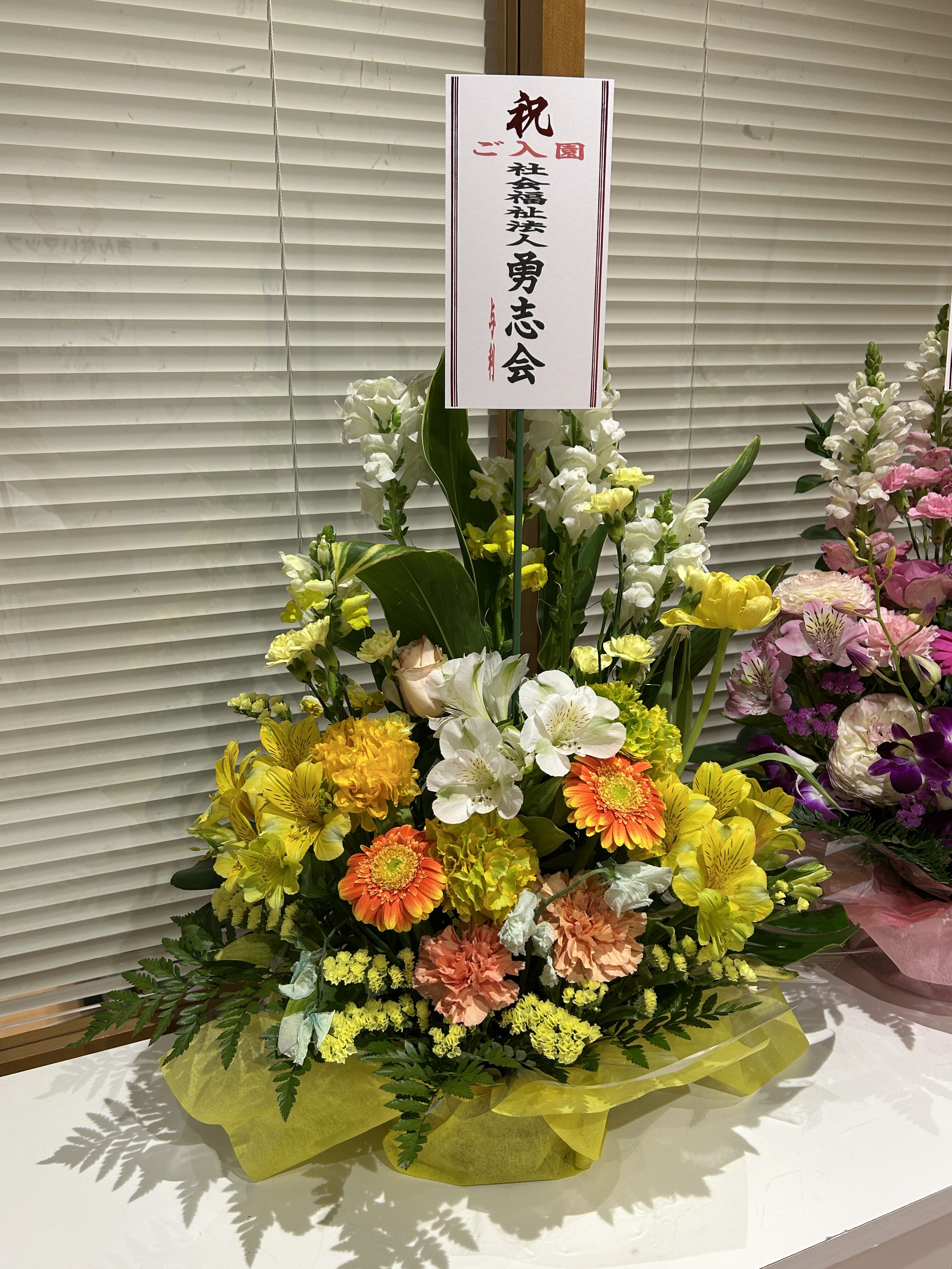 新年度が始まりました