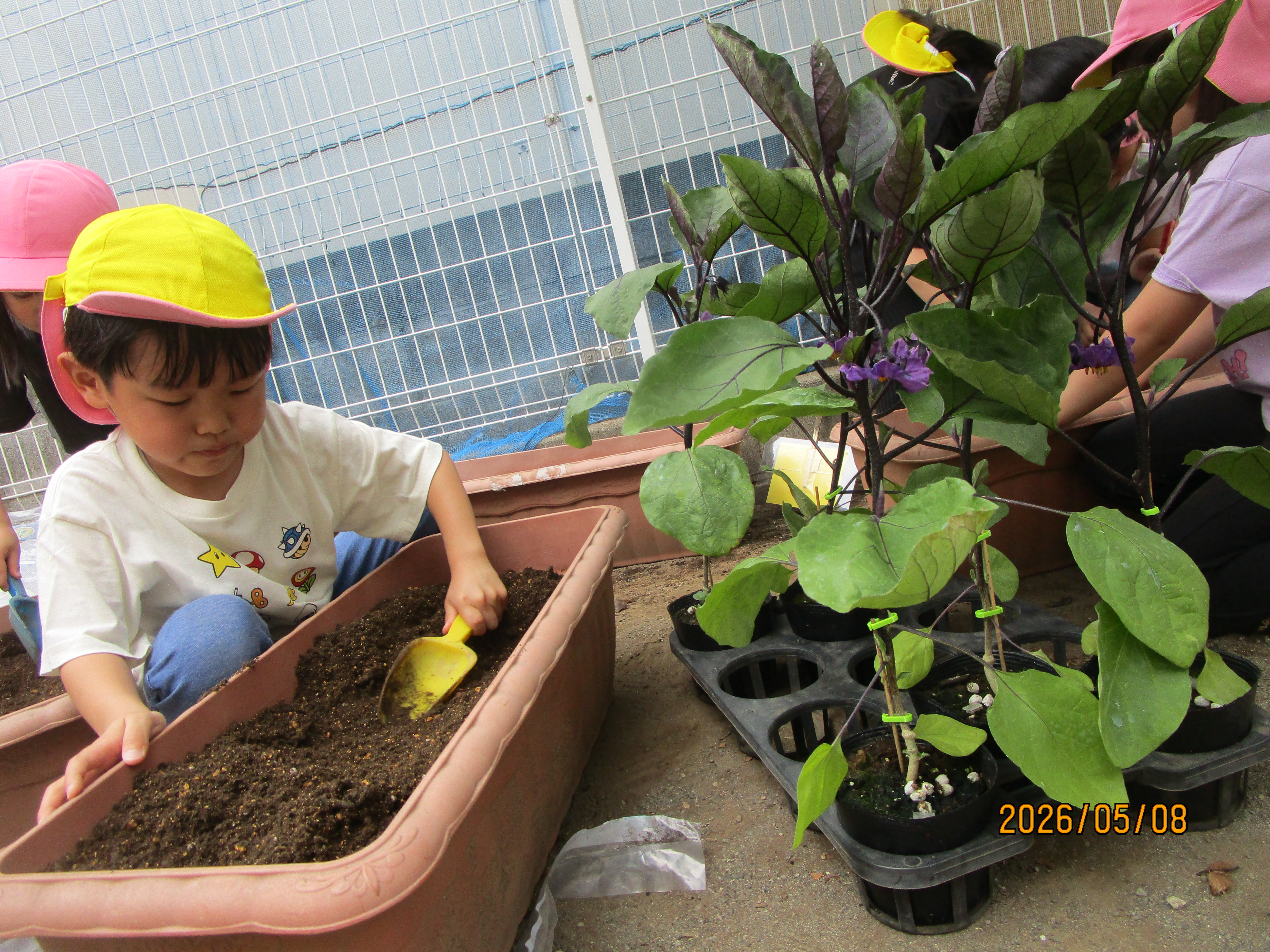 大きくな～れ🌱
